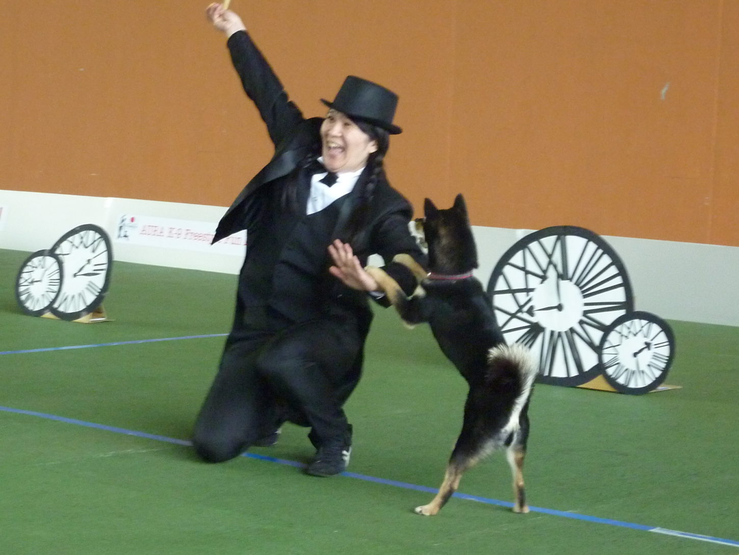 ドッグダンス 犬しつけ教室アウラ 東京 パピーパーティー とドッグスクール